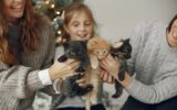 Family at home with little cats