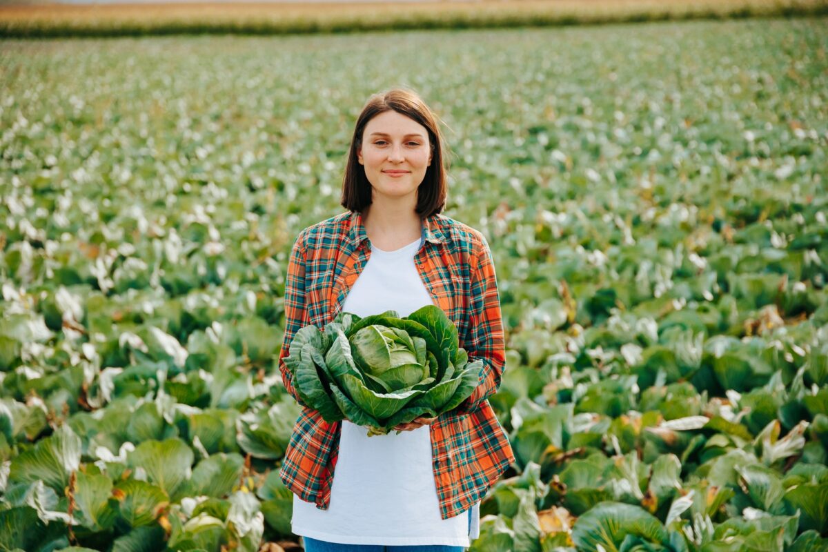 Copy space background of vegetable field young woman a head of cabbage in hands smile on face.